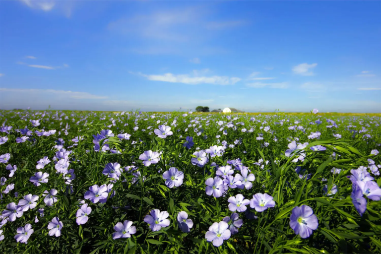Discover Tōbetsu: A Hidden Gem in Hokkaido, JapanHello world!